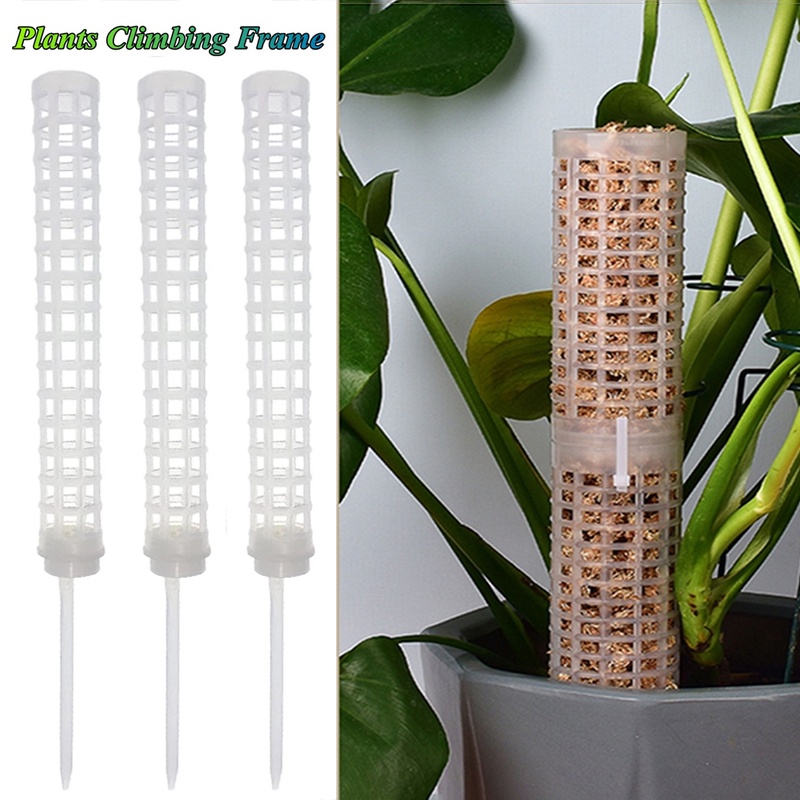 Moldura De Apoio Trepante De Plantas/Bastão De Musgo Verticais Interior/Plástico Cilíndrico Com Design Oco Em Vasos De Escalada/Acessórios De Jardim em Oferta na Shopee