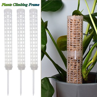 Moldura De Apoio Trepante De Plantas/Bastão De Musgo Verticais Interior/Plástico Cilíndrico Com Design Oco Em Vasos De Escalada/Acessórios De Jardim em Oferta na Shopee