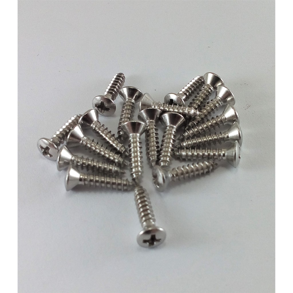 Parafusos INOX Para Guitarra Escudo/Tampa/ Canoa/ Padrão Fender 19 Und. em Oferta na Shopee