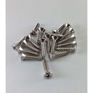 Parafusos INOX Para Guitarra Escudo/Tampa/ Canoa/ Padrão Fender 19 Und. em Oferta na Shopee