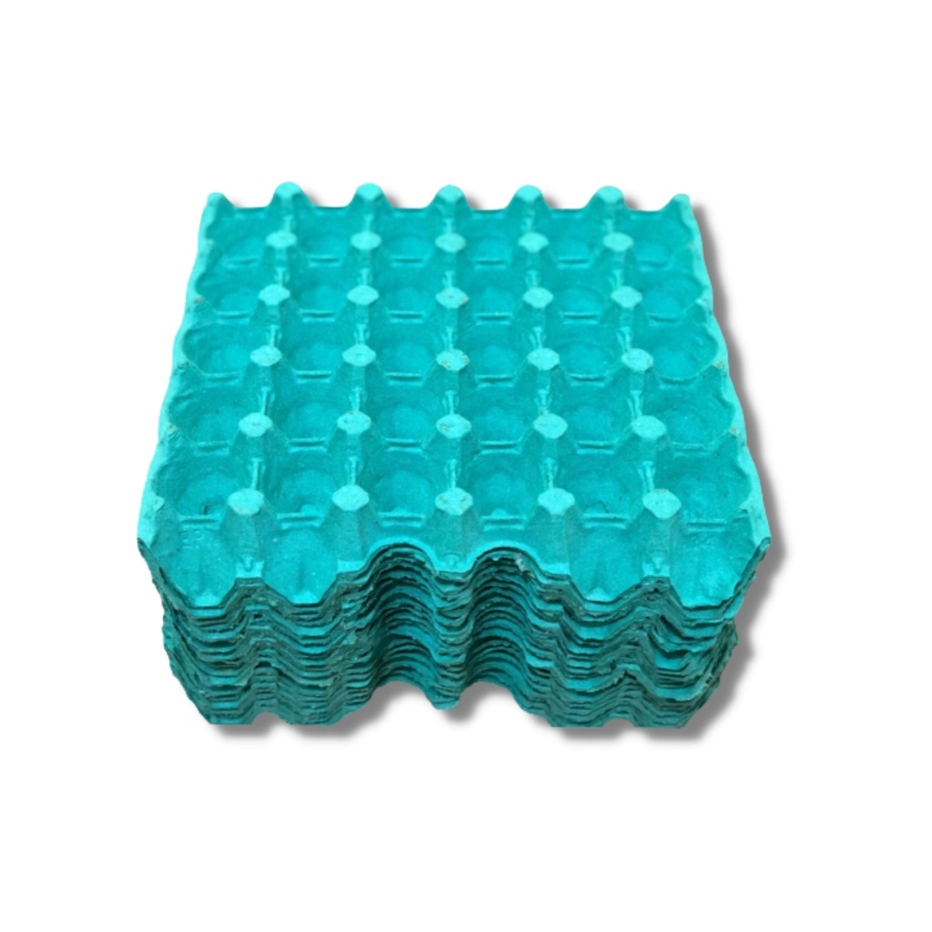 20 Bandeja Papelão 30 Ovo Galinha Embalagem Granja Decoração Artesanato Enfeites em Oferta na Shopee