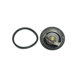 Valvula Termostatica Captiva 2.4 16v De 2009 A 2015 Mte Thomson