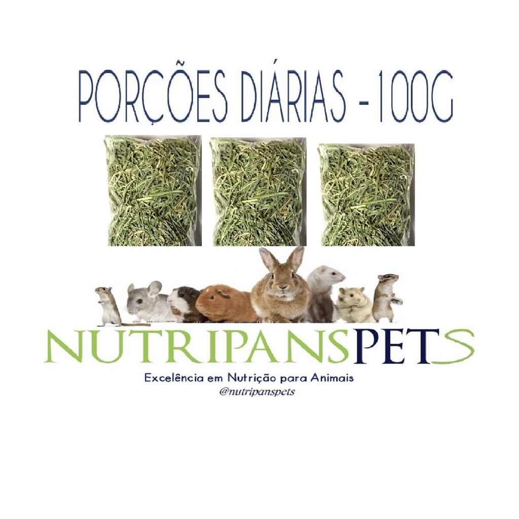 Porção diaria 3 unidades 100gr cada Feno Premium Coast Cross
