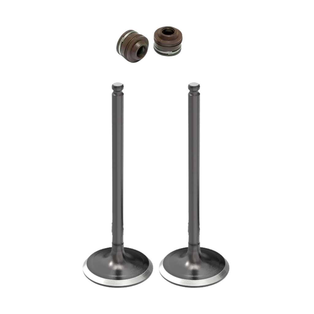 Válvulas de Admissão e Escape Burgman 125 A Partir 2011 em Oferta na Shopee