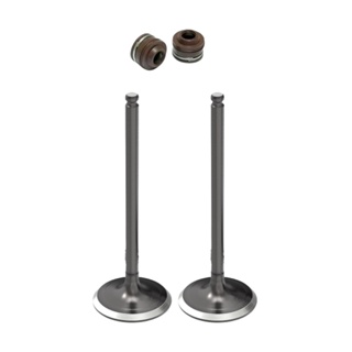 Válvulas de Admissão e Escape Burgman 125 A Partir 2011 em Oferta na Shopee