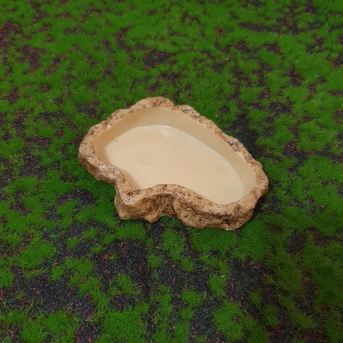 Cr 012, Comedouro Pequeno Réptil Jabuti Tartaruga Reptmania em Oferta na Shopee