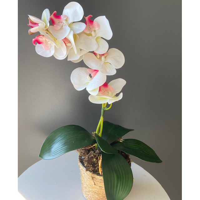 arranjo de vaso de corda sisal orquídea artificial orquidea branca com rosa  silicone permanente vaso marrom plantas e flores artificiais | Shopee Brasil