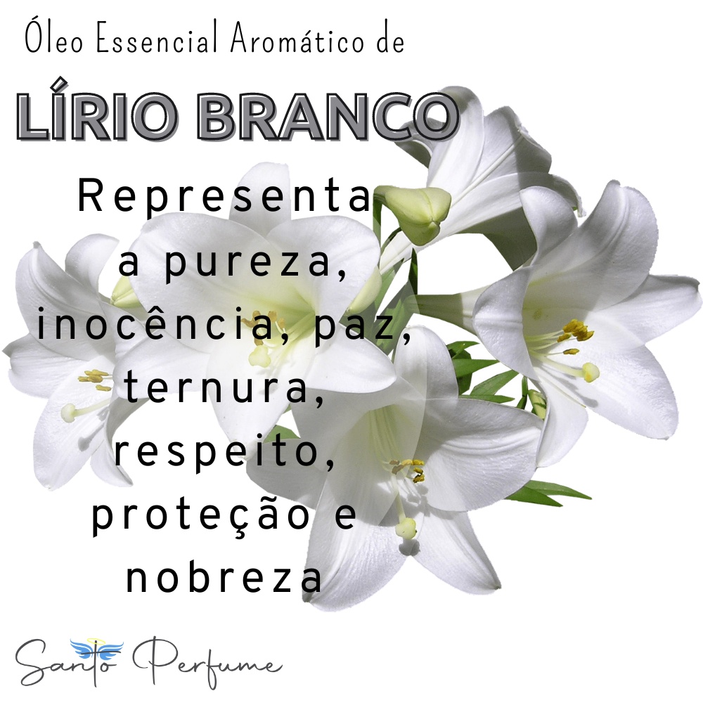 Óleo Essencial Aromático de Lírio Branco 10ml da Santo Perfume | Shopee  Brasil