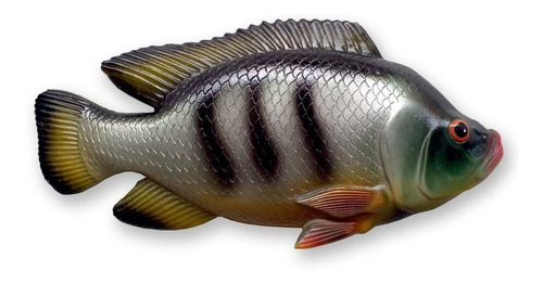 Peixe Tilapia Quadro Resina E Fibra Decoração para Parede Piscina Casa Chácara Sítio