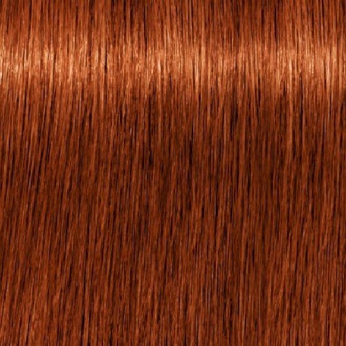 Schwarzkopf Igora Royal HD 6.77 Louro Escuro Cobre Extra - 60g