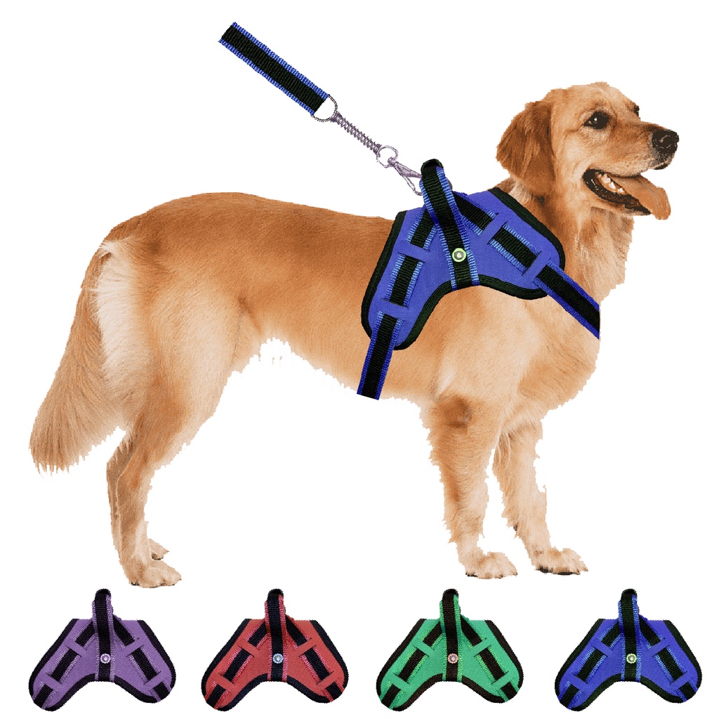 Coleira para cachorro grande reforçada, varias cores muito resistente