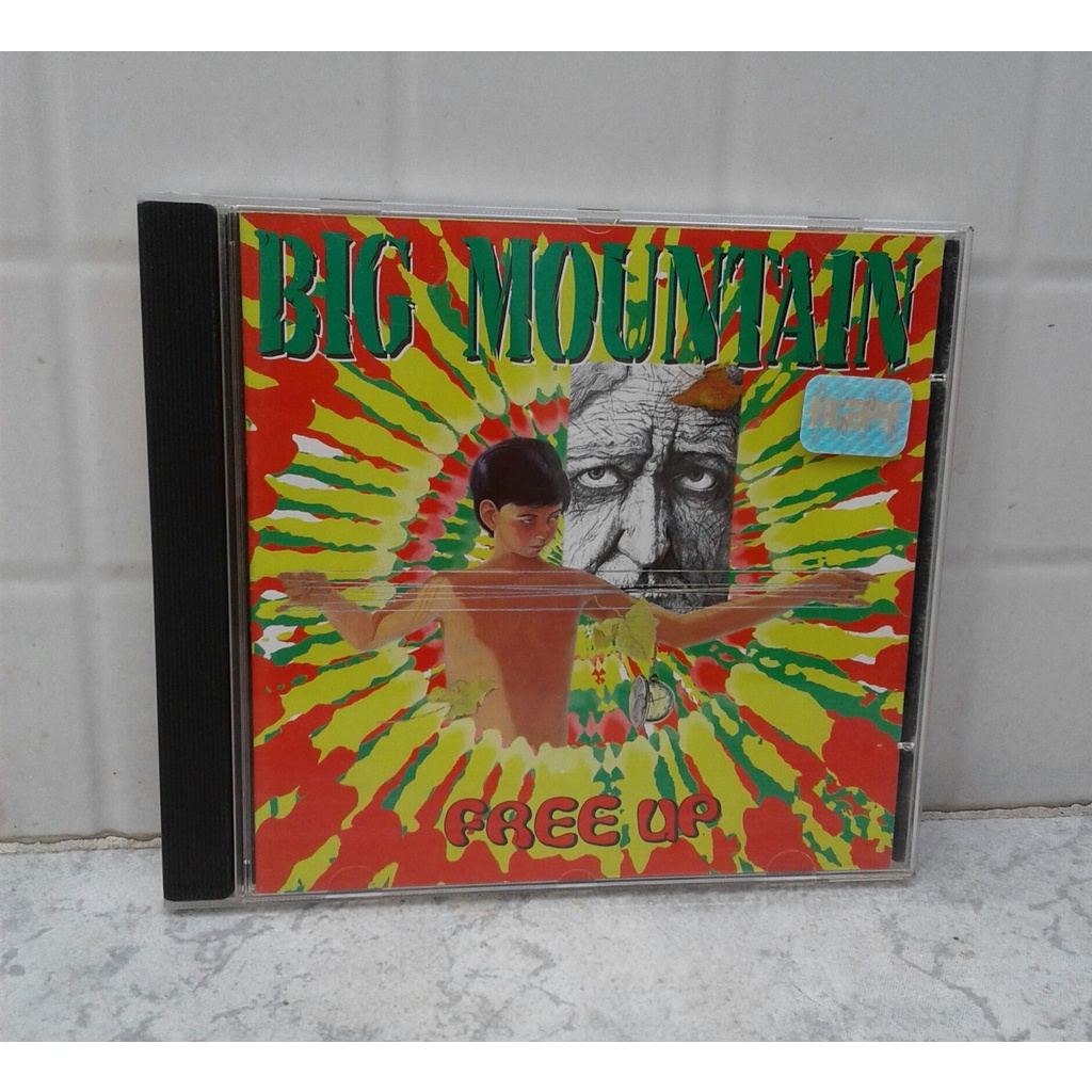 CD Big Mountain - Free Up