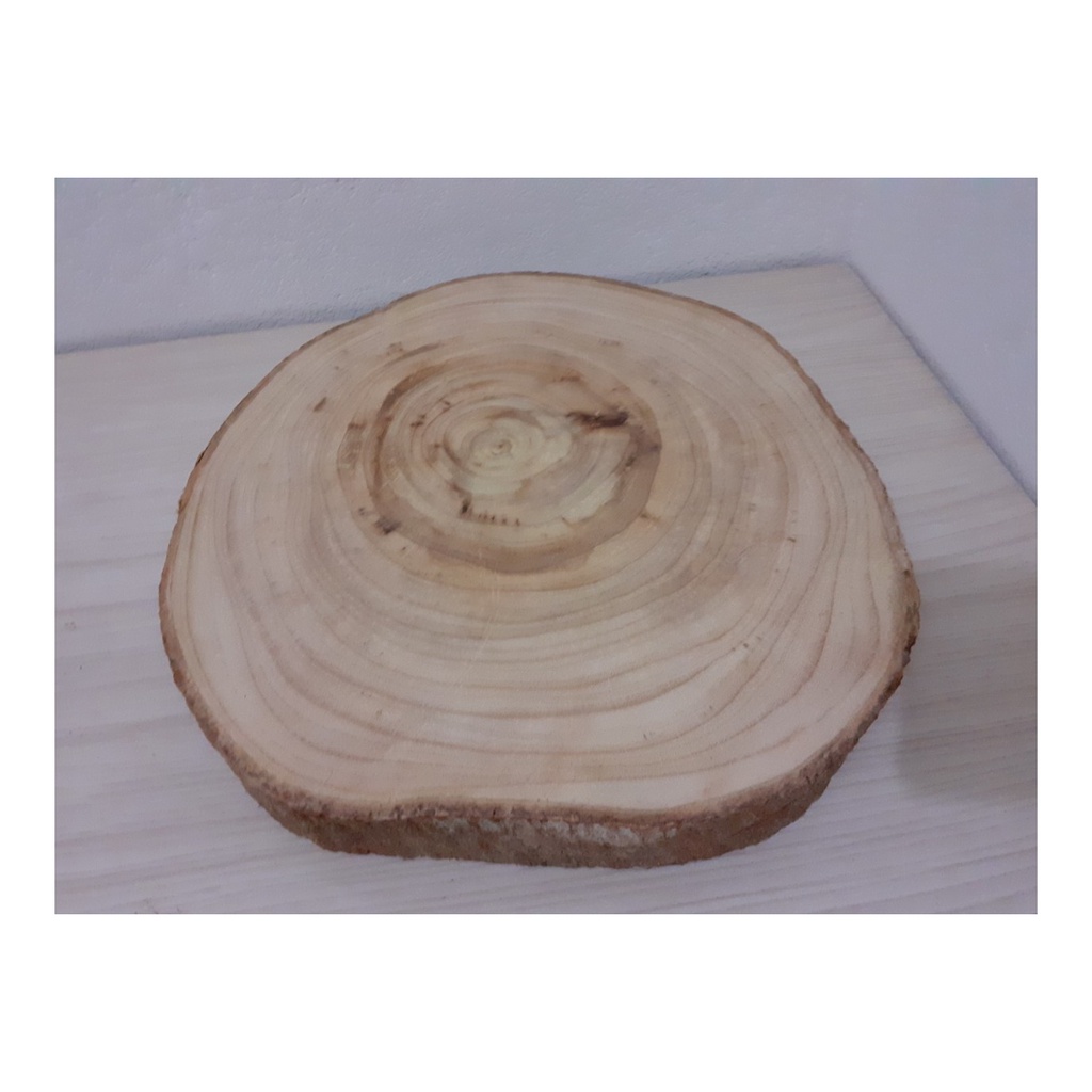 bolacha de madeira com a casca 16cm a 20cm