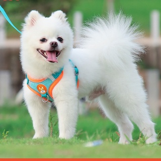 Coleira Peitoral Cachorro e Gato, conjunto de guia + coleira tipo colete para pet pequenos e médios. em Oferta na Shopee