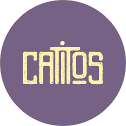 CATITOS MODA DIVERTIDA