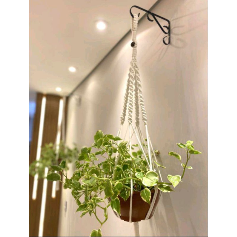 2 suportes de ferro para pendurar vaso de Plantas na parede 30x15 | Shopee  Brasil