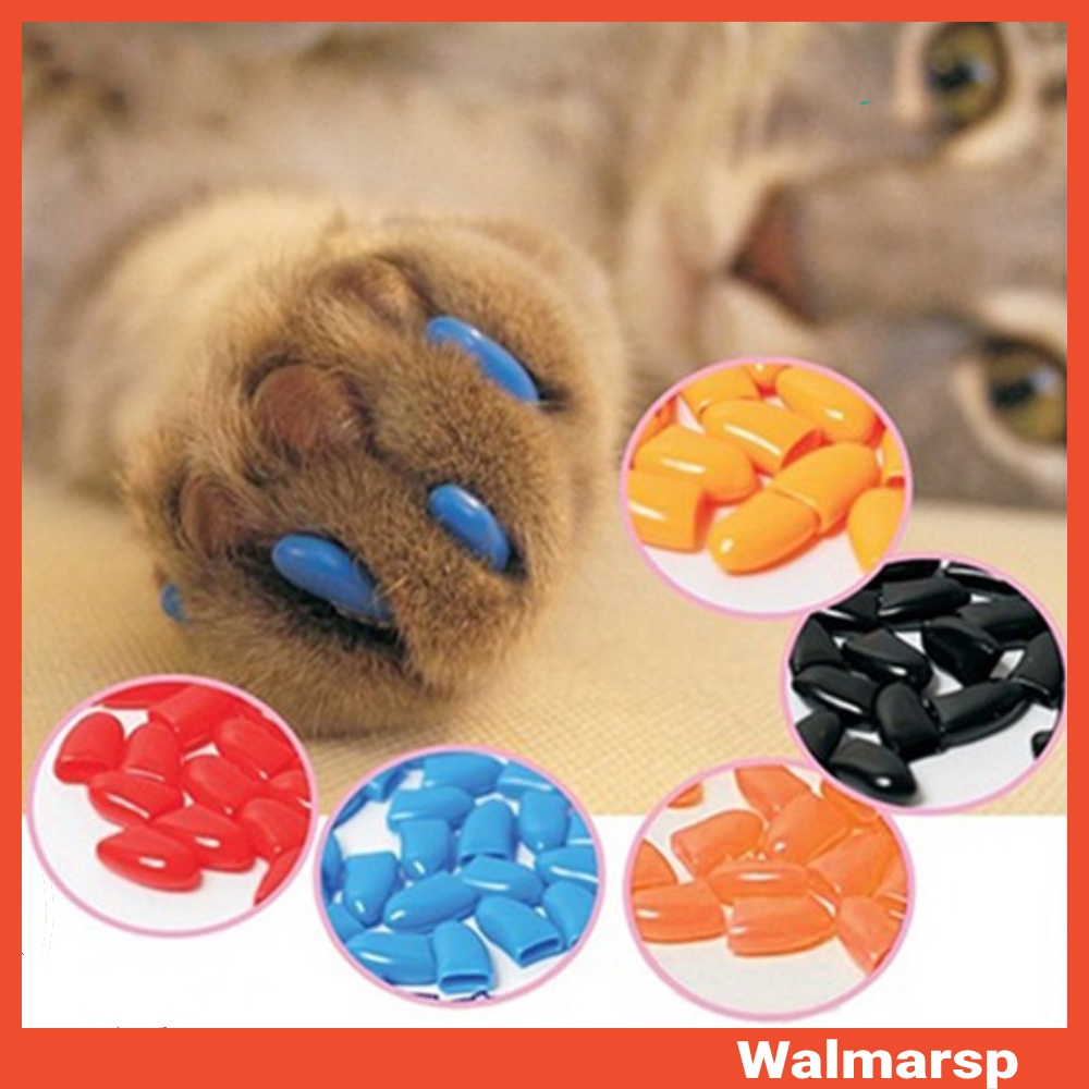 20 Pçs/Set Cão De Estimação Gato Pata Garra Anti-Risco Macio Silicone Unhas Tampas Capas Protetoras