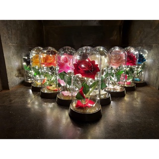 Luminária Cúpula Redoma G. 20 cm A Bela e A Fera / O Pequeno Príncipe com A Rosa Encantada Aveludada e Luzes de Fadas