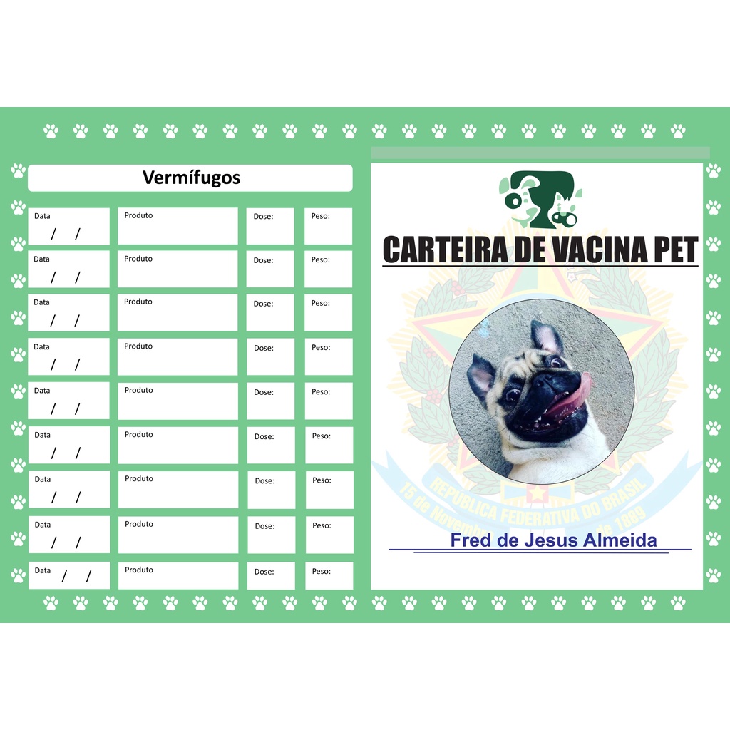 Cartão De Vacina Pet Cachorro Gato Animais De Estimação | Shopee Brasil