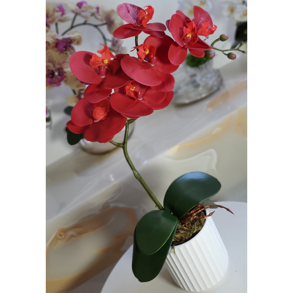 Orquídea arranjo 3D Silicone Artificial com vaso de cerâmica arranjo ideal para  decorar sala,cozinha,quarto e escritório | Shopee Brasil