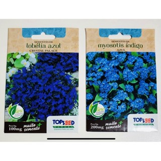 kit lobélia  +  myosotís sementes em Oferta na Shopee