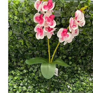 Orquídea C/ folha artificial em Oferta na Shopee