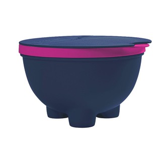Tupperware Saleiro Chef Azul e Framboesa 450g | Shopee Brasil