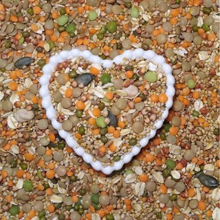 Mix de Sementes Caseiro Balanceado para Hamster - 150g, 250g, 500g em Oferta na Shopee