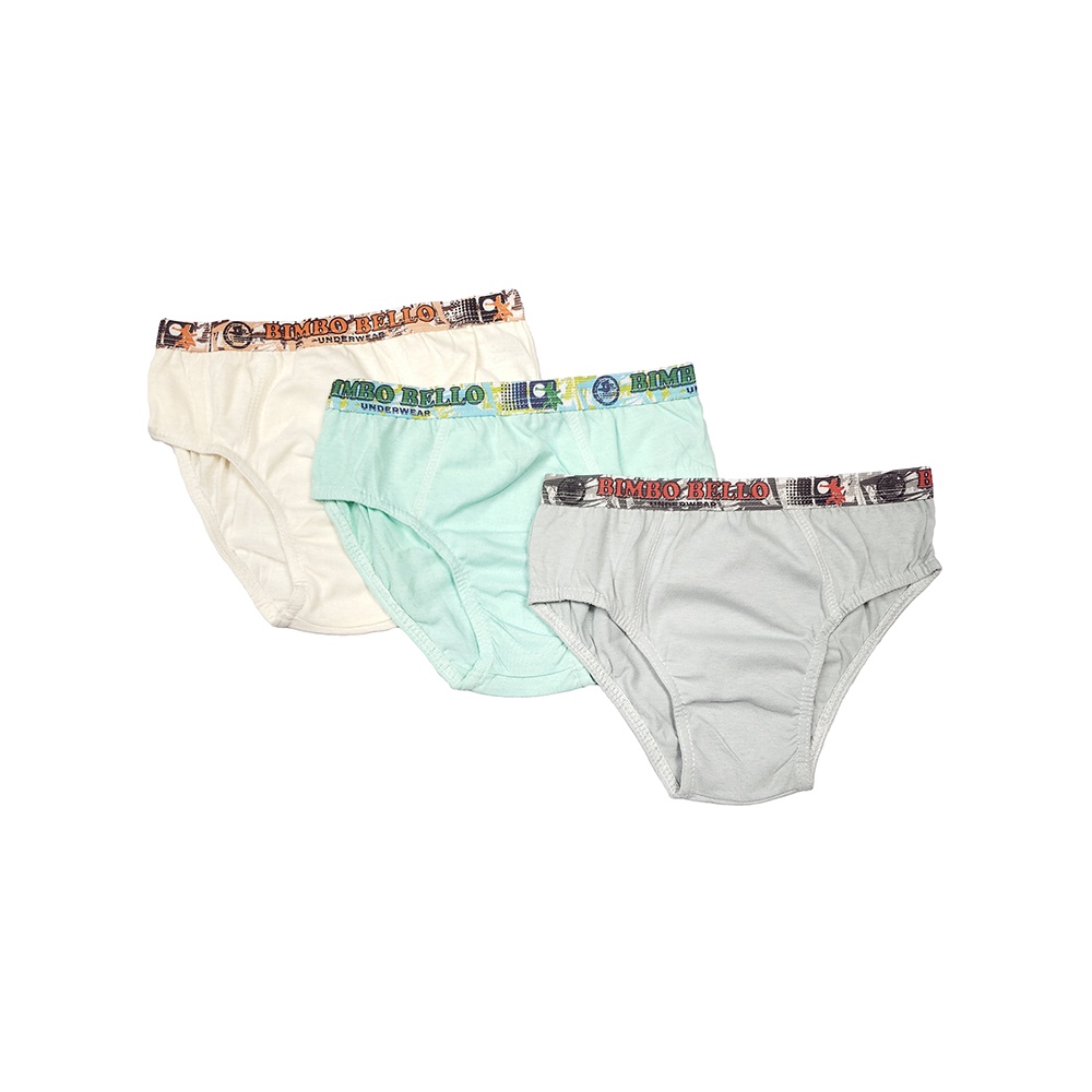Kit Com 3 Cuecas Infantil Modelagem Menino Algodão Sortida