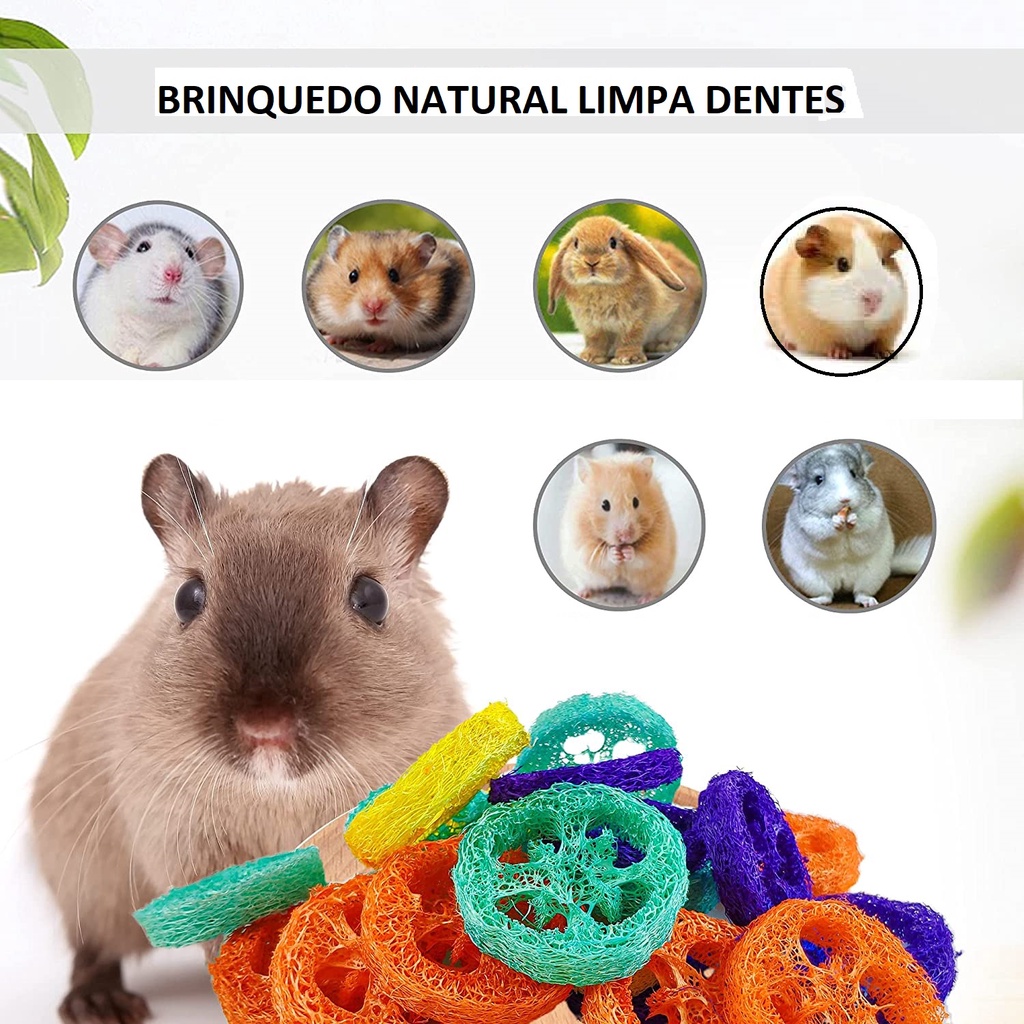 Brinquedo natural para limpeza e desgaste dos dentes de Hamster, aves, porquinho da índia, coelho e Pequenos roedores em Geral.