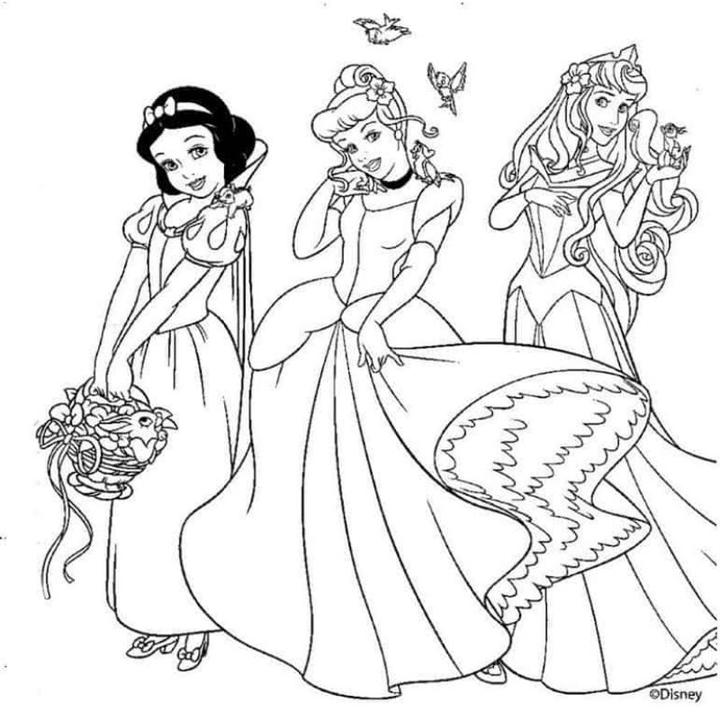 50 Desenhos para colorir Pintar Princesas folha A5 Não é Frente e Verso 50  folhas A5 1 desenho por folha Atividades Educativas Atividades Pedagógicas  - Escorrega o Preço