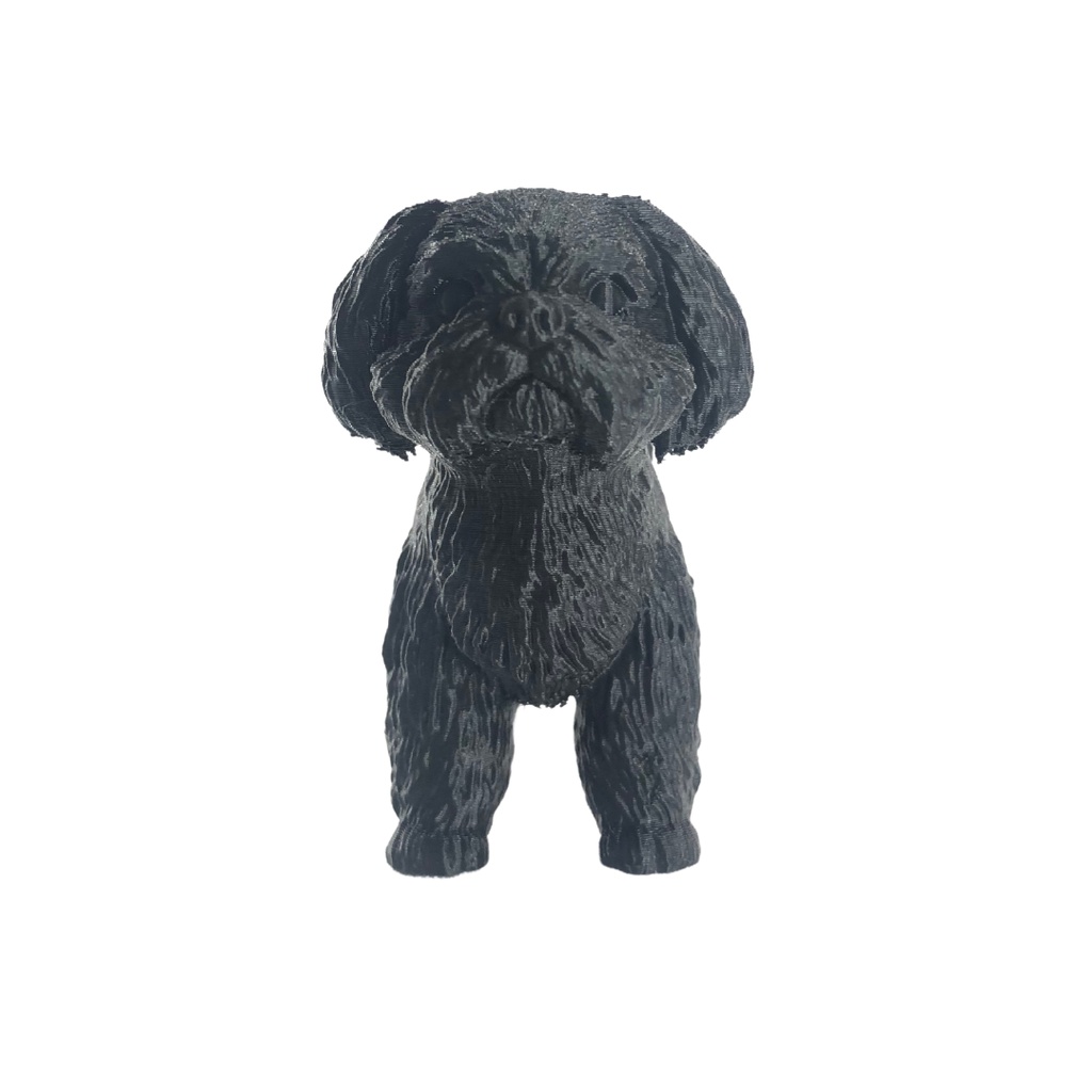 Filhote Shih Tzu Decorativo 3d | Presente Pet | Enfeite