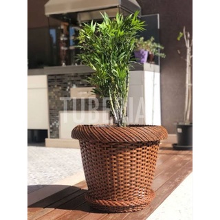 Vaso de fibra Sintética n 98 em Oferta na Shopee