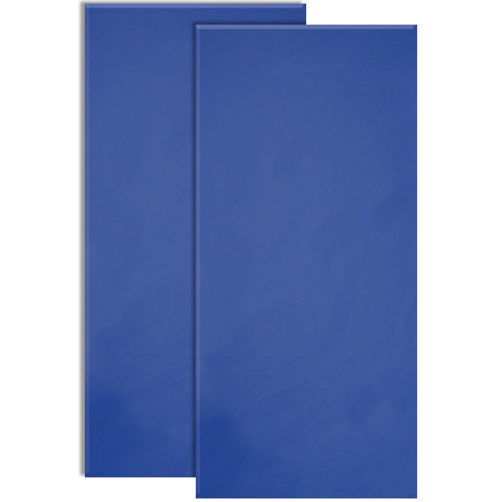 Kit 2 Colchonete Academia Ginástica Tapete Yoga de Espuma D20 94x44x3