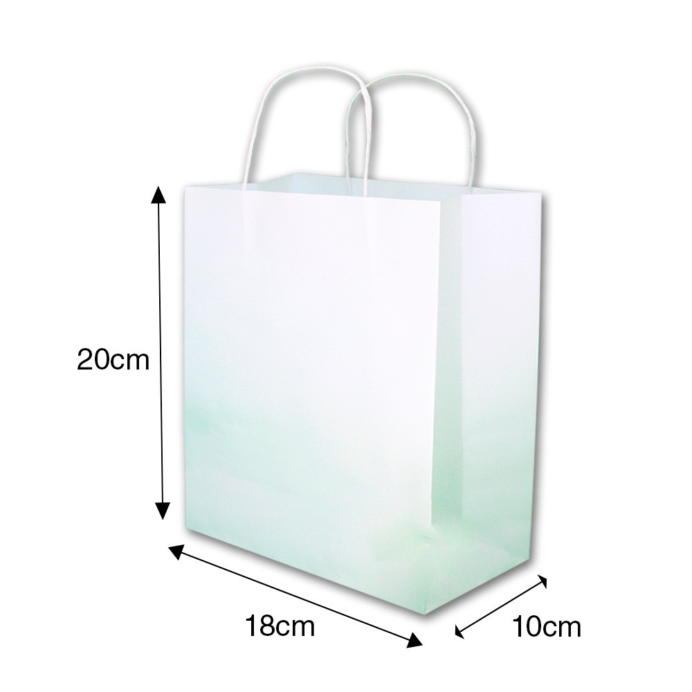 Sacola De Papel BRANCO 18x10x22 ( 50unid Promoção )