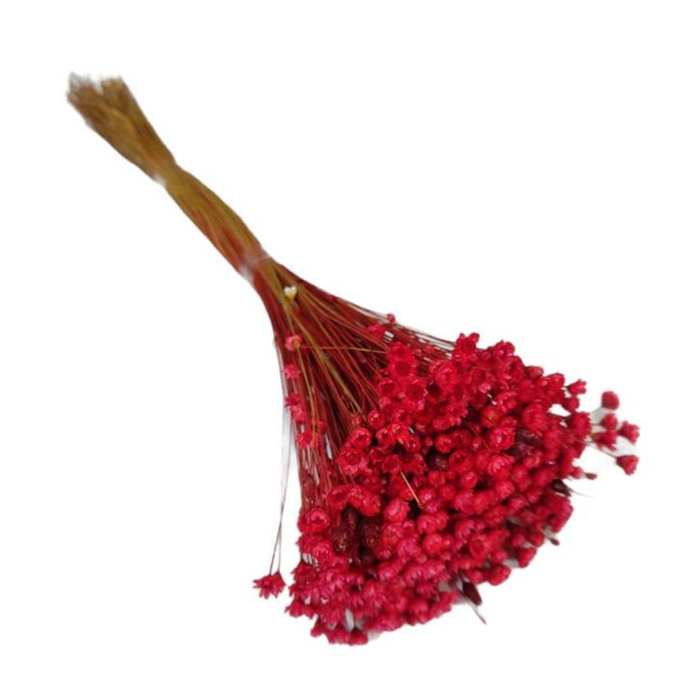 Flores Artificiais Permanentes Sempre Viva Vermelha Helena | Shopee Brasil