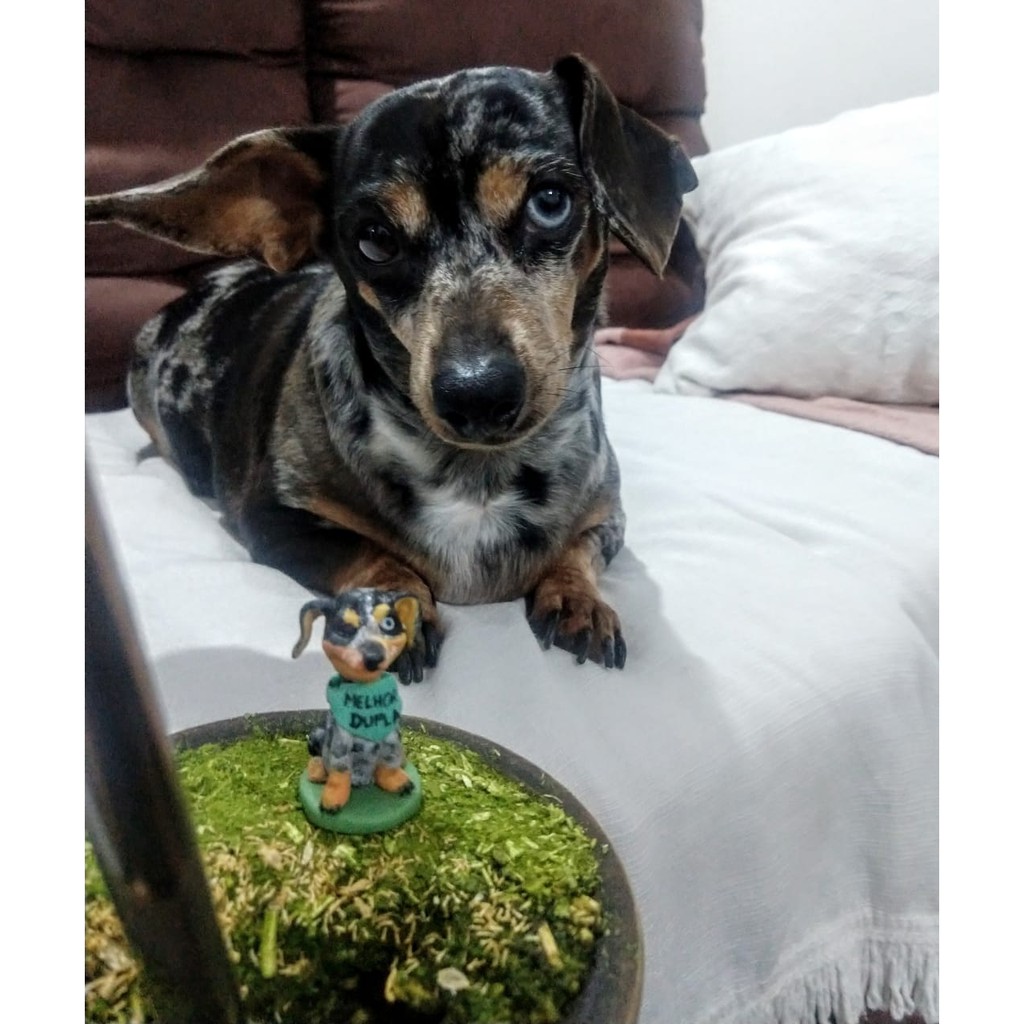 Enfeite de chimarrão / enfeite de plantas personalizado pets em Oferta na Shopee