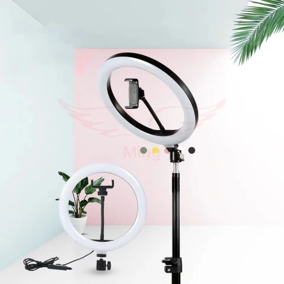 Luz de preenchimento LED ajustável de 12 polegadas 30 cm com suporte para celular ming