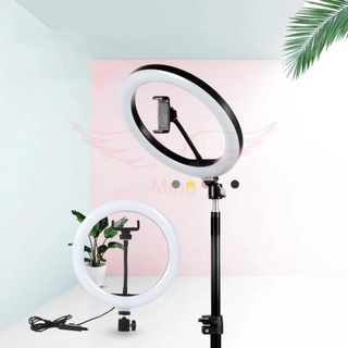 Luz de preenchimento LED ajustável de 12 polegadas 30 cm com suporte para celular ming