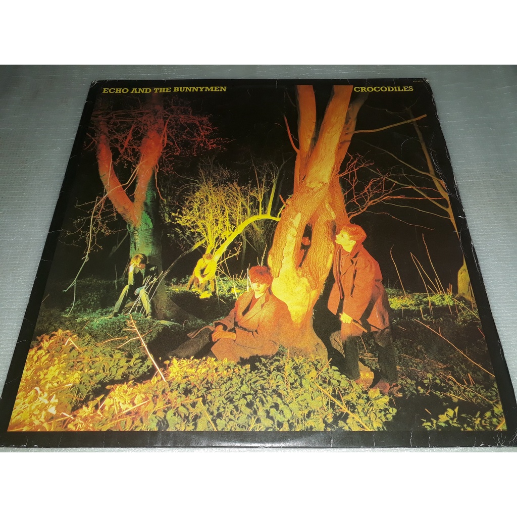 LP ECHO AND THE BUNNYMEN CROCODILES WEA 1987 COM ENCARTE VINIL ZERADO USADO