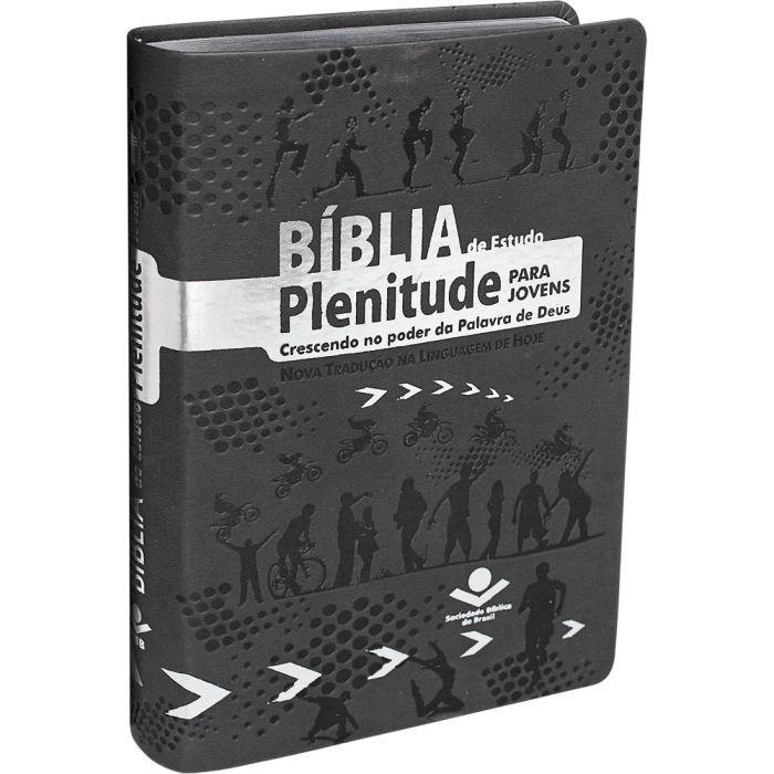Bíblia de Estudo Plenitude para Jovens | Cinza - Books & Magazines