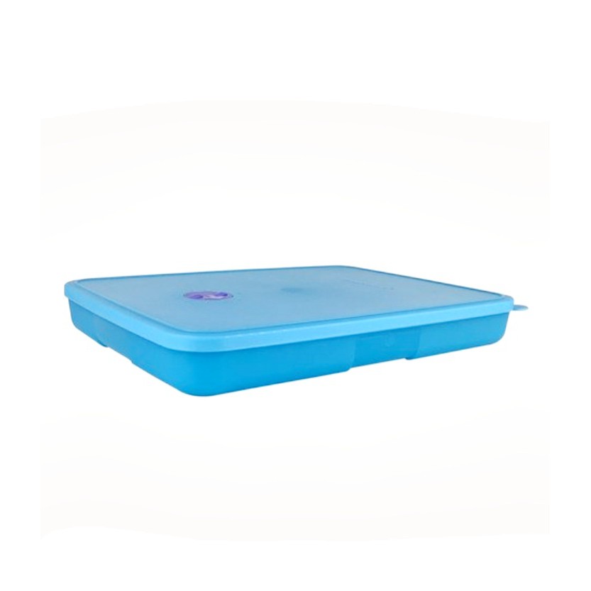 Tupperware Freezertime 1 2L Shopee Brasil