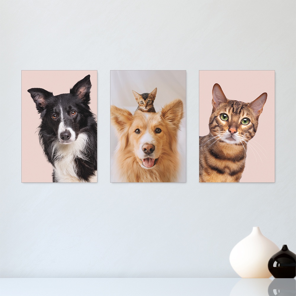 Kit 3 Quadros Decorativos Pet Shop Cachorros Gatos  Placas Decorativas - 0030ktpl