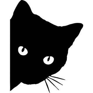 Adesivo Decorativo Gato Misterioso Carro