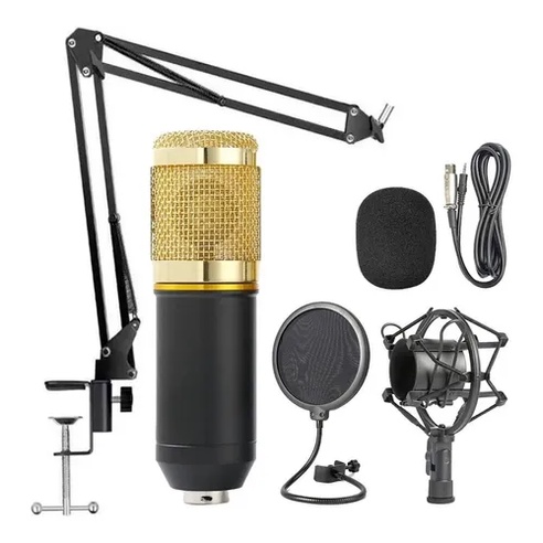 Kit Microfone Condensador Profissional Estúdio Bm800 com braço e sargento