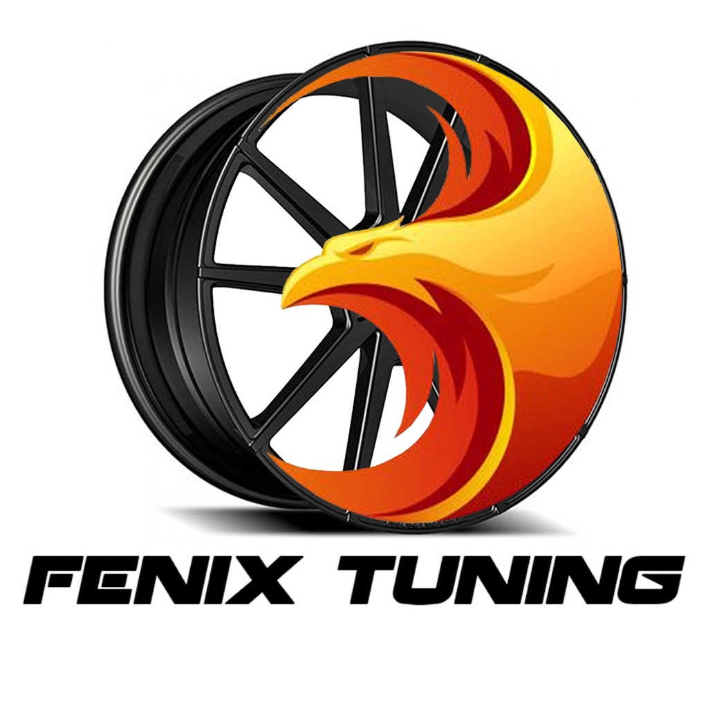FÊNIX TUNING ACESSÓRIOS