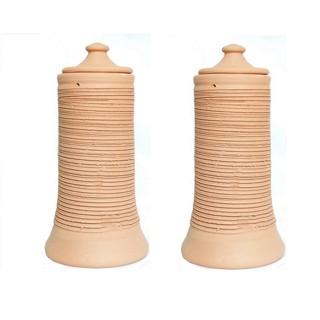 Moringa Orquídea Pau de Barro para Enraizar Kit com 2 Peças em Oferta na Shopee