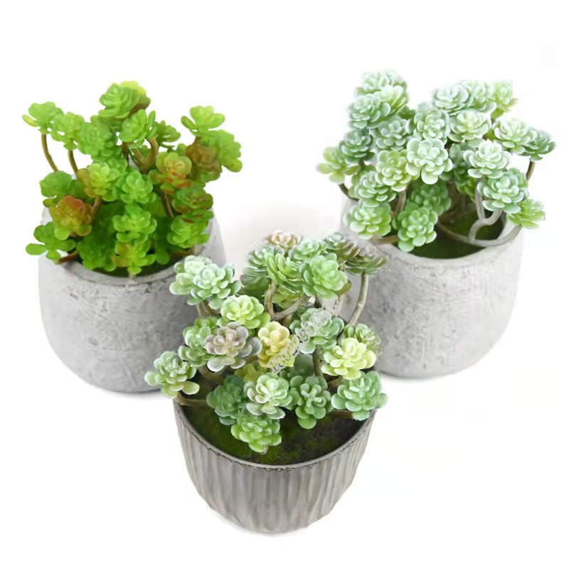 Mini suculenta artificial FR-258 em Oferta na Shopee