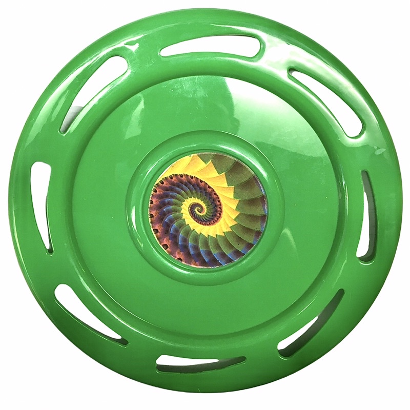 Brinquedo Disco Parque: Onde Comprar | BuscaProdutos