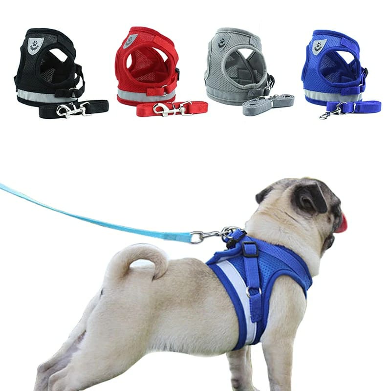 Peitoral Com Guia para Cachorro Coleira Para Caes E Gatos Colete Regulavel Super Confortavel Pet